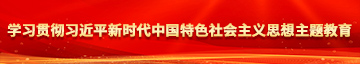 操逼逼电影学习贯彻习近平新时代中国特色社会主义思想主题教育